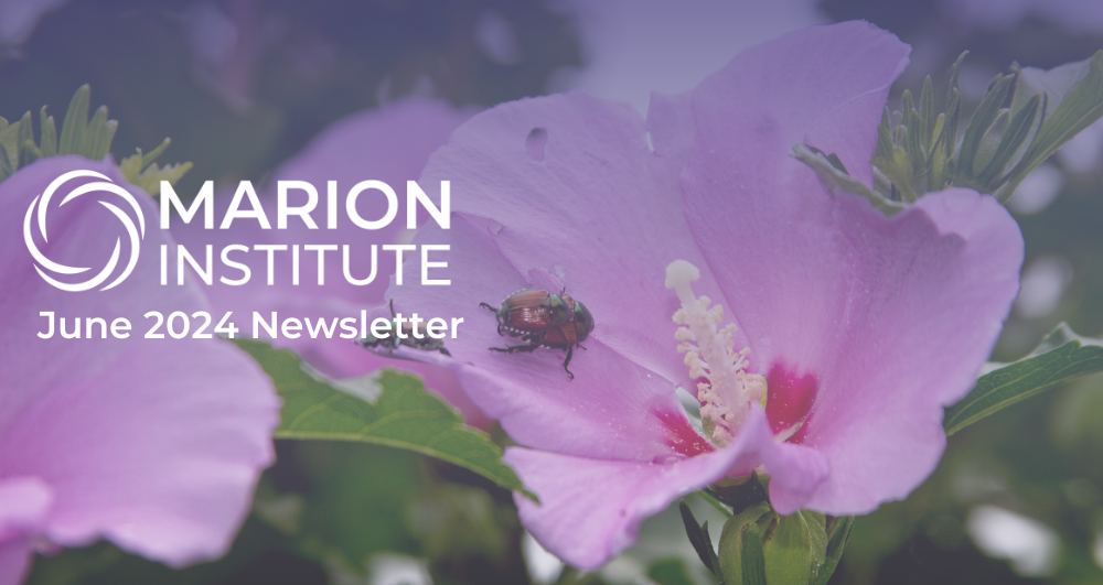 Marion Insitute June 2024 Newsletter