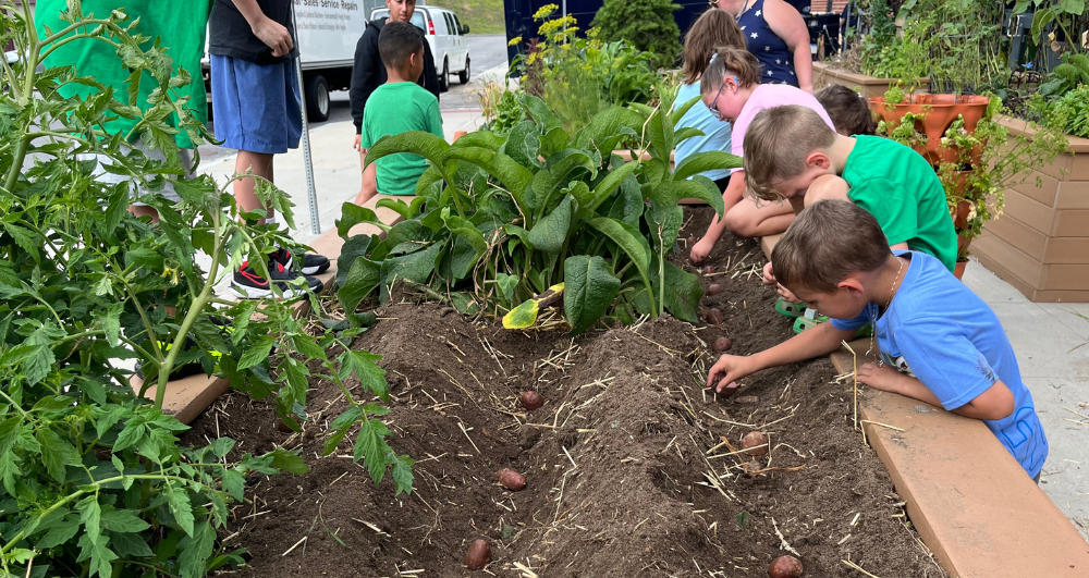 Grow Education Soil Testing