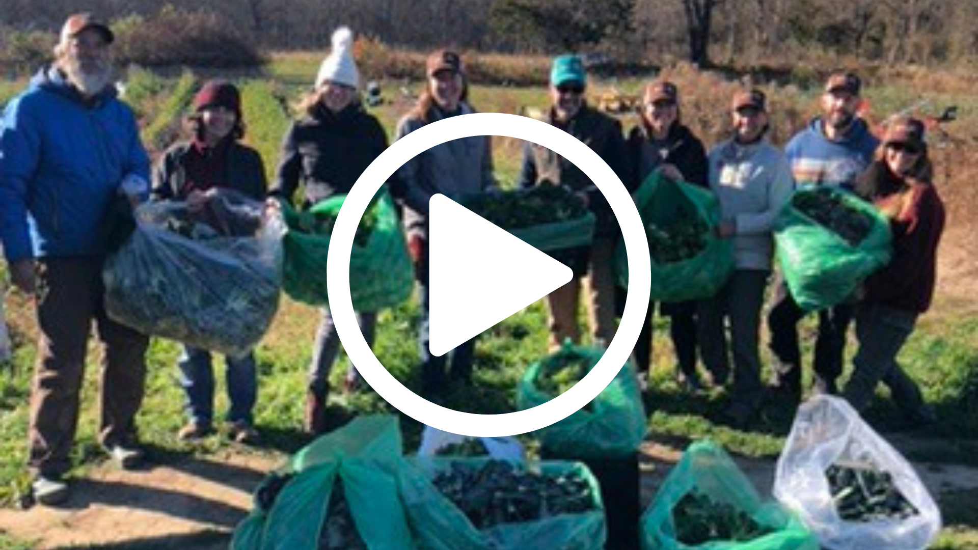 Giving Tuesday at Skinny Dip Farm