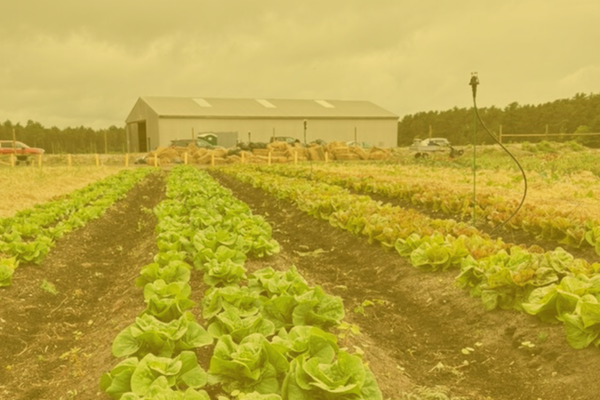 HP Program Page Img (1)