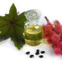 Castor Oil: An Essential For Health