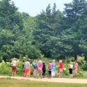 Exploring The Nature Connection – A Summer Afternoon With Herbalist Brendan Kelly, July 2019
