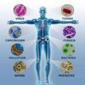 BioBlog Sponsored Post – Boost Your Immune System With Nutritional BioSuperfood