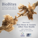 BioBlog: January BioBites To Focus On Stress & Anxiety