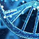 BioBlog: The Epigenetics Of Health