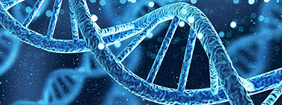For newcomers, epigenetics is a field of study that focuses on heritable changes in gene expression that do not involve changes to the underlying DNA sequence. The history of epigenetics can be traced back to the early 20th century.