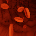 BioBlog: Did You Know Blood And Cells Gossip?