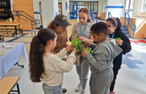 17x11 - 1st Floor Hallway (2)