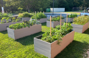 17x11 - 1st Floor Hallway (3)