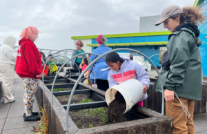 17x11 - 1st Floor Hallway