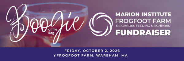 Boogie at the Bog Fundraiser