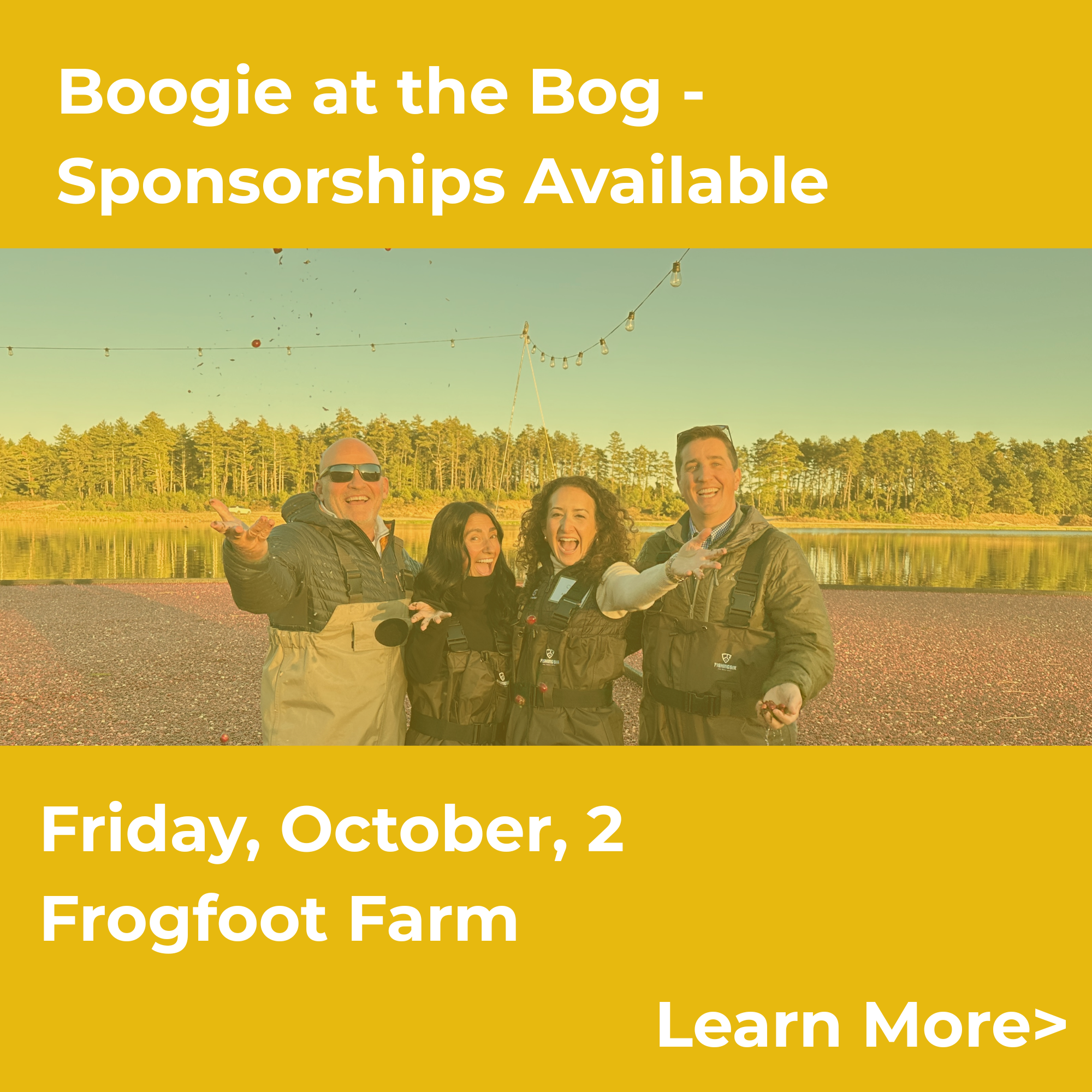 Boogie at the Bog