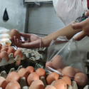 The Farm Bill: Why SNAP Funding Matters