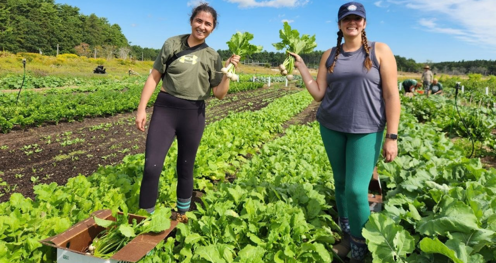 Join us virtually on November 18 from 9–10 AM Eastern Time to discuss regional food system successes, challenges, and priorities. Your perspective will help inform our updated Southeastern Massachusetts food system assessment.
