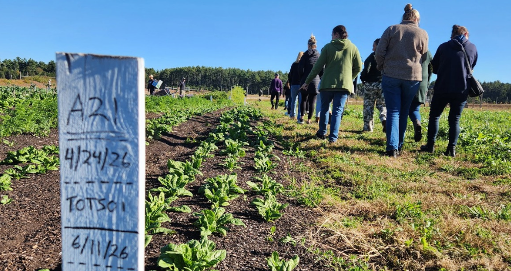 Westport school food service staff joined the Marion Institute at Frogfoot Farm for hands-on harvesting and a fermentation workshop, connecting local farming with the work of nourishing students.